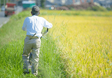 生産者の想いを伝えたい